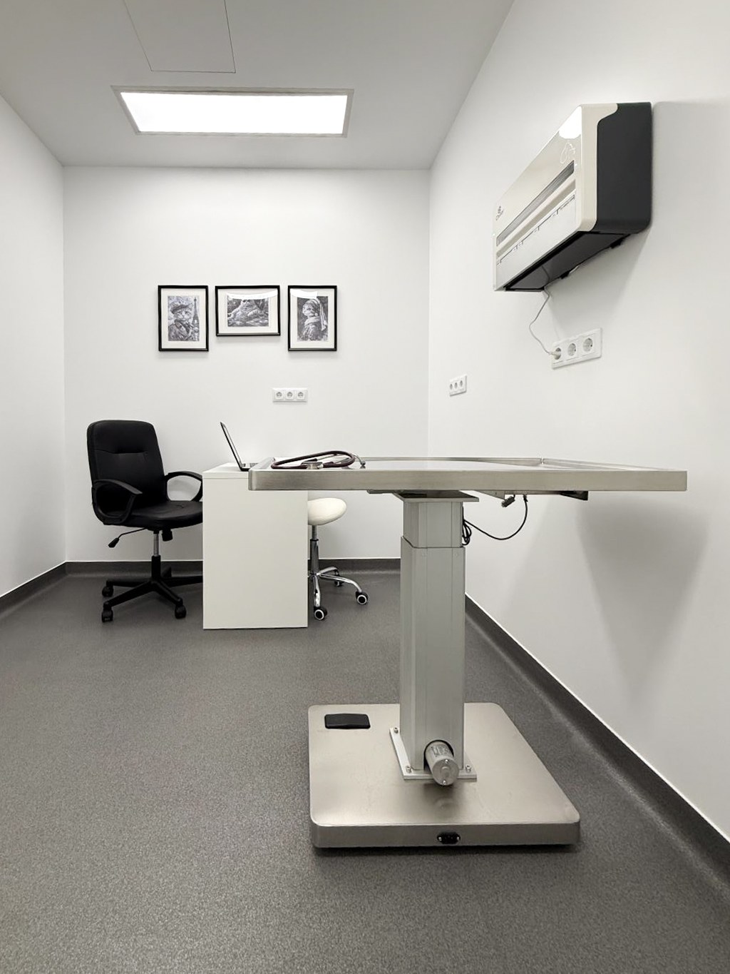 Veterinary consultation room with coved resin flooring