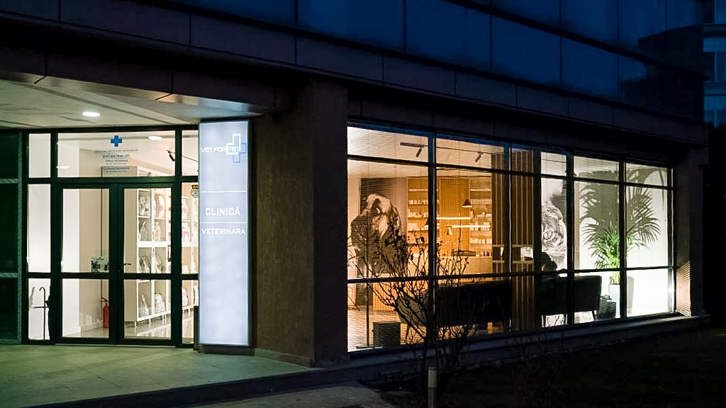 Veterinary Clinic Bucharest — Illuminated exterior facade at completion