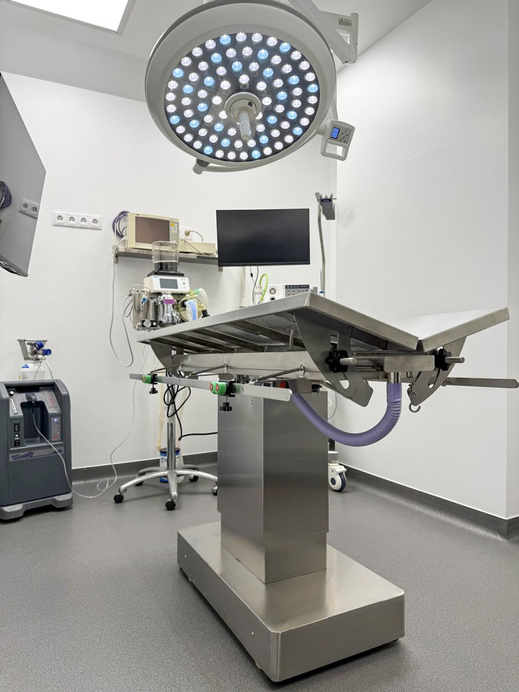 Veterinary operating suite with seamless epoxy resin flooring